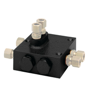 Dual non-return valve for hydraulic hose