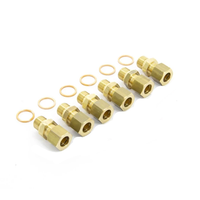 Dual non-return valve for hydraulic hose