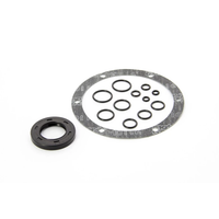 Seal kit set for helm pump