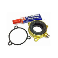 Replacement lip seals for ZWB stern gland